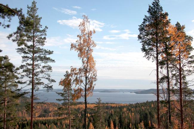 Riihivuori Cottages Muurame Kültér fotó